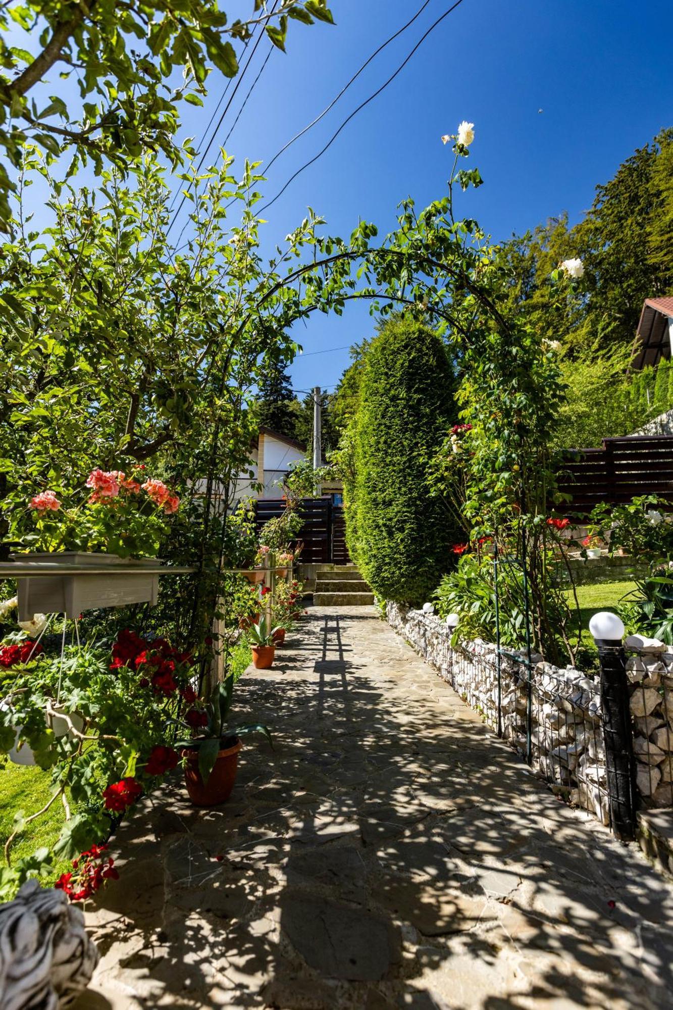 Villa Falco Bianco Busteni Ngoại thất bức ảnh